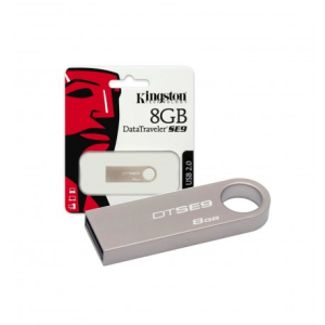 USB Kingston (8G)